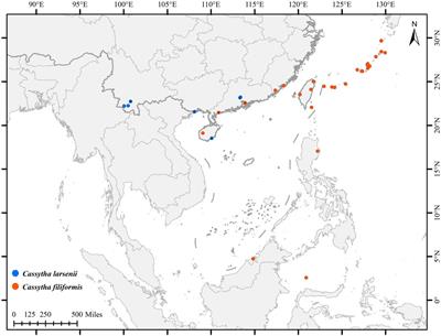 Comparative analyses of eight complete plastid genomes of two hemiparasitic Cassytha vines in the family Lauraceae